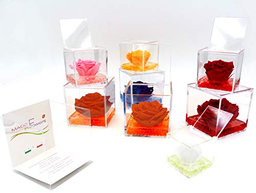 Fuchsia, stabilisiert, unendliche Reinheit, aus Plexiglas, Maße 8 x 8 x 8 cm, Geschenk