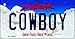 SMART BLONDE Cowboy South Dakota Metal Novelty Aluminum Key Chain KC-9982