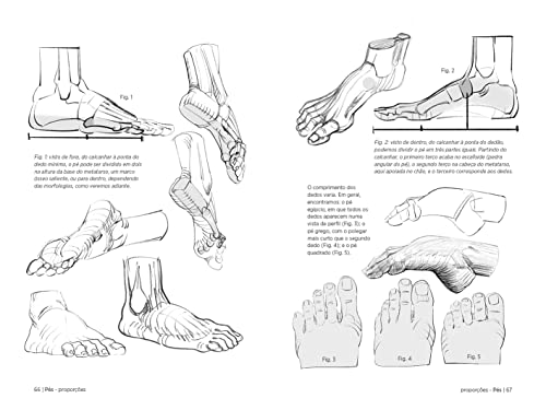 Anatomia artística 6: Mãos e pês