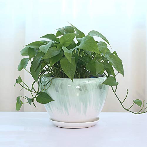 Jardinière en céramique style chinois rétro YRYRYW, pot de qualité pour bonsaï