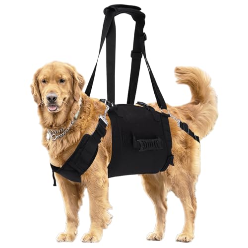 Dog Lift Harness, Pet Support & Rehabilitation Sling Lift with Adjustable Breathable Straps Emergency Backpack Recovery Sling for Disabled, Joint Injuries,Old, Arthritis, Paralysis Dogs Walk (M)