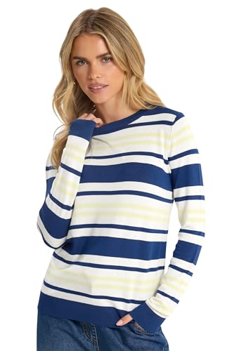 Image of M&Co Petite Blue & Yellow Stripe Crew Neck Jumper - Women's