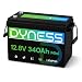 Dyness 12V 340Ah Mini LiFePO4 Lithium Battery, Max.4352Wh, Built-in 200A BMS with Low-Temp Protection,10 Year Lifespan,Supports 4P4S Connection Up to 69.63kWh Perfect for Rv,Home Solar System,Off-Grid