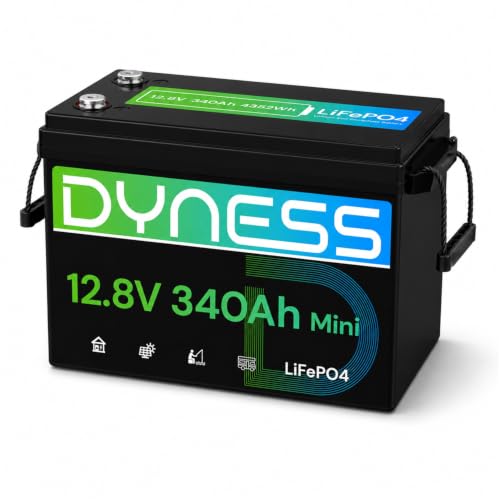 Image of Dyness 12V 340Ah Mini LiFePO4 Lithium Battery, Max.4352Wh, Built-in 200A BMS with Low-Temp Protection,10 Year Lifespan,Supports 4P4S Connection Up to 69.63kWh Perfect for Rv,Home Solar System,Off-Grid