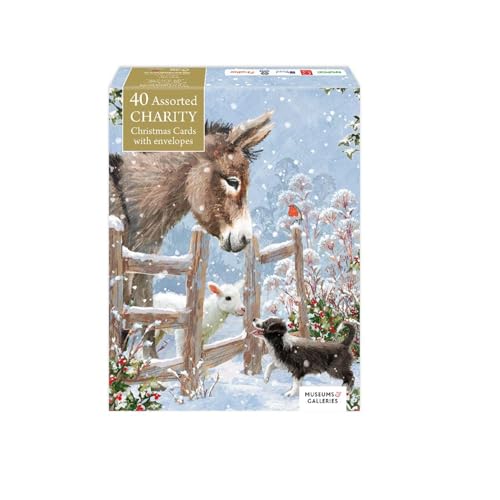 Museums & Galleries Weihnachtskarten für Wohltätigkeitsorganisationen, 40 Stück, verschiedene künstlerische Designs, Weihnachtsgrußkarten, Multipack, für Wohltätigkeitsorganisationen im Vereinigten