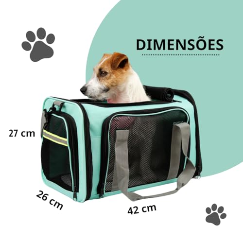 Bolsa de Transporte Para Pet Cachorros e Gatos com Ventilação Viagem Avião Passeio (Cinza)
