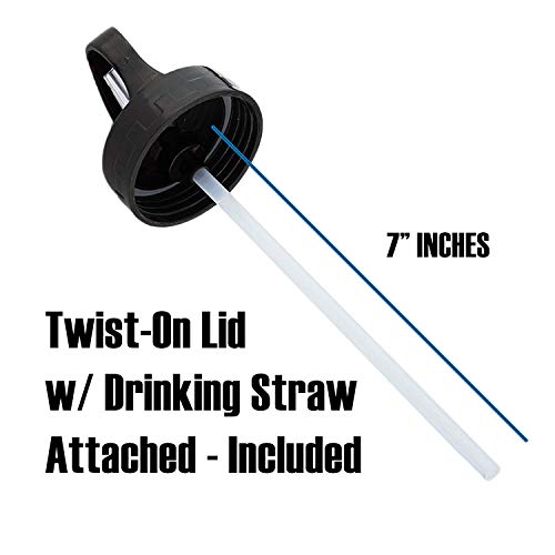 Zero Degree Stainless Steel Water Bottle W/ Straw And Leak Proof Lid, Vacuum Insulated Double Wall Sport Bottle Keeps Drinks Cold For 24 Hours - 18Oz Blue #TOP5