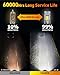 FAHREN Upgraded H7 light Bulb 46000LM 900% Brightness, 6500K White Super Bright, 1:1 H7 Mini Size Fog Lights No Adapter Required Plug & Play Non-Polarity, Canbus Ready, IP68 Waterproof, Pack of 2