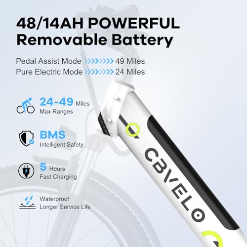 Electric Folding Mountain Bike