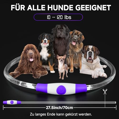 CoCoDonut LED Leuchthalsband Hund, USB aufladbar, Sicherheit bei Nacht – Ansicht 3