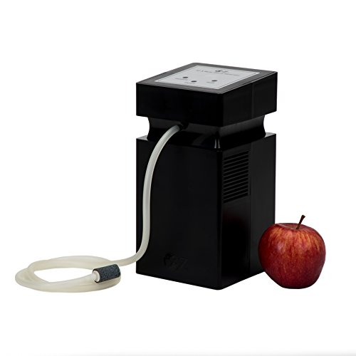 Oz Air & Water Ozone Generator #TOP6