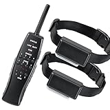 High Tech Pet Express Train 2-Dog Remote Radio Training System RT-2,Black