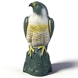 Hausse Scarecrow Eagle Fake Hawk Decoy Statue Scare Birds Away, Plastic Deterrents, Garden Protectors Bird Repellent, Nature Enemy Bird Repellent for Outdoor Garden Yard