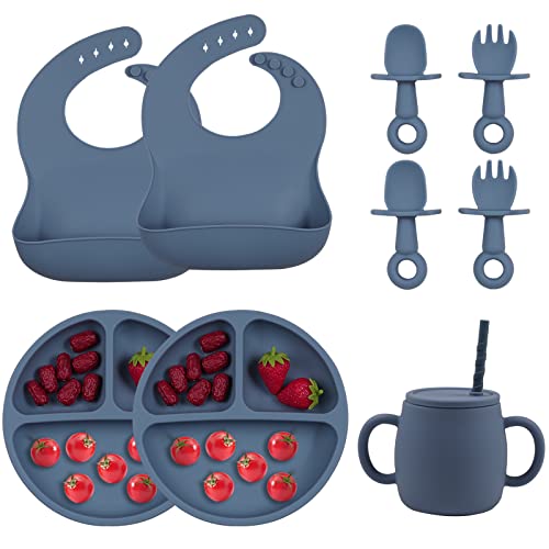 Baby Feeding Supplies - Led Weaning Silicone Baby Feeding Set, Toddler Plates with Suction, Straw Sippy Cups, First Stage Self Feeding Utensils Dishes Set with Bibs, Baby Spoons and Forks, 9 Pieces