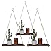 Viesap Baldas Flotantes, 3PCS Estantería Colgante de Madera con Cuerda de Yute, Estantes de Pared de Madera Colgante, Estante de Pared Decorar Cafetería, Casa de Postres, Hogar, Sala, Oficina.