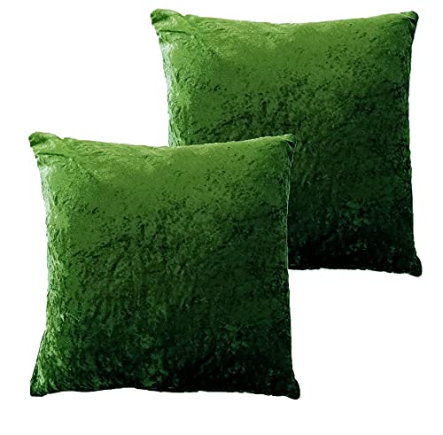 Olivia Rocco Lot de 2 housses de coussin carrées en velours écrasé pour canapé, lit, chaise, coussins décoratifs pour chambre à coucher, salon, vert émeraude Cover