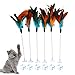 Cat Feather Wands, 6 PCS Spring Cat Wands with Bell Sucker Interactive Cat Teaser Wands for Cat and Kitten