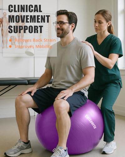GalSports Anti-Burst Slip Resistant Stability Ball - Swiss Ball for Home Gym & Physical Therapy (Purple, L(26ines/65cm))
