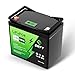 ERYY 12V 100Ah LiFePO4 Battery, High Density 100Ah Lithium Battery 12v with 100A BMS, VoltMeter, 5000+ Rechargeable Deep Cycle Marine Battery for RV, Boat, Kayak, Trolling Motor, Golf Cart (Mini Size)