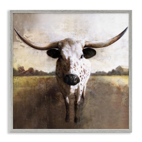 Longhorn Cattle Warm Sunlight Farm, 24 x 24 Inch Framed Giclée Print