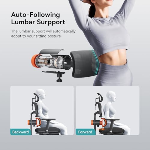 ergonomic chair product info and reviews