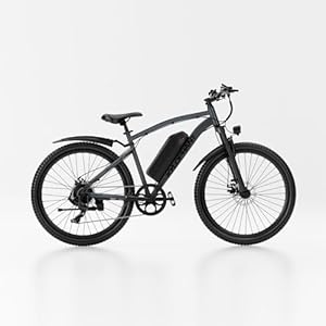 26-inch Adult Electric Bicycle, with a Load Capacity of 330