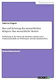 funktionsmodelle biologie  Bau und Leistung des menschlichen Körpers. Das menschliche Skelett: Einführung in die Arbeit mit Modellen anhand eines Funktionsmodells zur Wirbelsäule und der Bandscheiben