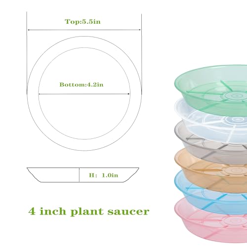 Afrine 6 Pack Plant Saucer Drip Tray, 4 5 6 8 9 10 12 14 16 18 inch, Heavy Sturdy Plastic Planter Flower Pot Saucers for Indoor Outdoor Garden, Plant Water Drip Trays for pots Base (4", Clear)
