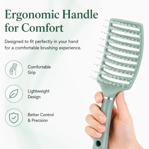 Image of GLUN Portable Detangling Hair Brush Pack of 1 Green Colour, Curly & Straight Hair Brush for Women & Men Accessories Use in Salon, Home & Personal Use