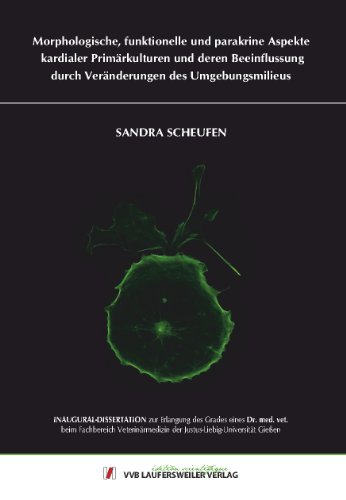 Morphologische, funktionelle und parakrine Aspekte kardialer Primärkulturen und deren Beeinflussung durch Veränderungen des Umgebungsmilieus