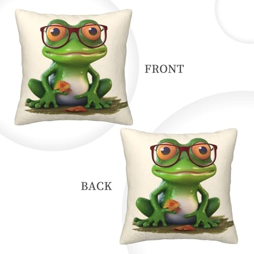 Idée cadeau originale : housse de coussin grenouille à lunettes - 5