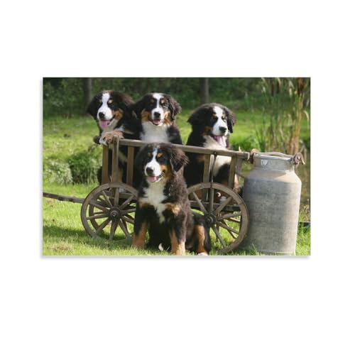 QBIREX Berner Sennenhund-Druck, Wandkunst für Erwachsene, Leinwandbild, als Geschenk für Kinder, Heimdekoration, Wohnzimmer, Schlafzimmer, Geburtstagsgeschenke, Frauen, 20 x 30 cm