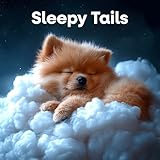 Lofi Paws