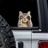 手を挙げて遠くを見る猫、13.5 X 15 cm 2自動車装飾シールセット、ビニール防水シール、自動車バンパー、ノートパソコン、ガラス、壁などの滑らかな表面に適用、#T 061