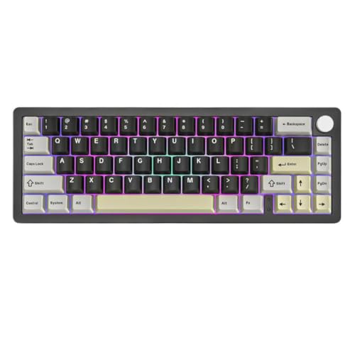 Teclado mecánico AL66 de 66 teclas inalámbrico con perilla y base hot-swap para reemplazo RGB