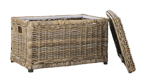 happimess Elijah 30" Wicker Storage Trunk, Natural