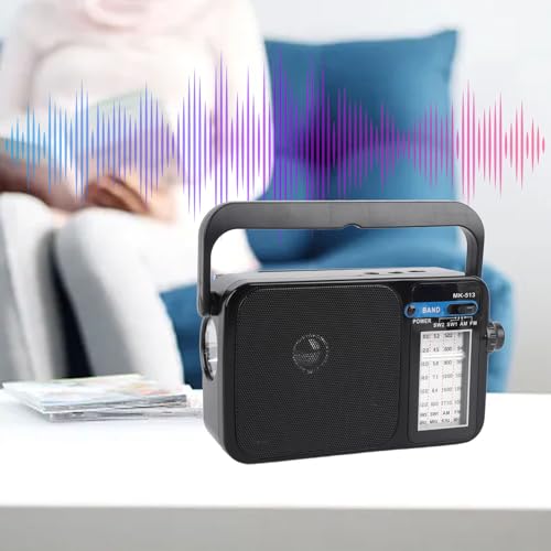 Radio Diyeeni AM FM SW portátil con Bluetooth miniatura 5