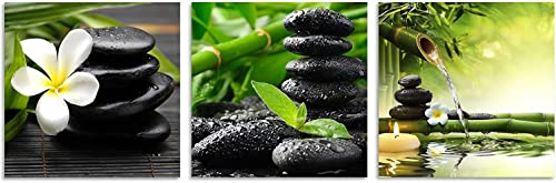 TutuBeer 3 Panel Zen Canvas Wall Art Still Life SPA Stone Green Bamboo White Frangipani Flower Pictures Prints on Canvas for Home Office Kitchen Wall Decor Stretched and Framed Each Panel 14x14inch by TutuBeer - Used condition - Image 2
