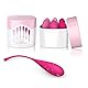 Feelztoys FemmeFit Pelvic Muscle Training Set 6 pieces