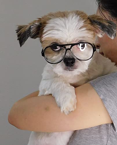 G030 Dog Cat Pet Aviator Costume Glasses For Small Breeds Up To 15Lbs (Black-Clear) #TOP3