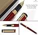 Dryden Designs Fountain Pen - Medium and Fine Nibs | Includes Luxury Box, Ink Cartridges - 3 Black 3 Blue and Ink Refill Converter - Royal Red