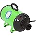 Flying Pig High Velocity Dog Pet Grooming Dryer w/Heater (Model: Flying One, Green)