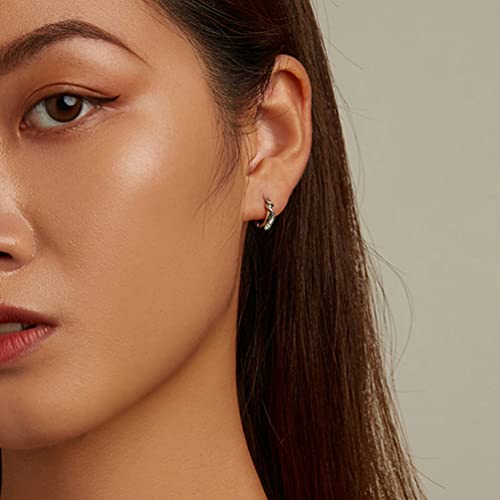 Generic Snake Earrings Women Sterling Silver 925 Stud Earrings Hoop Earrings With Green Cubic Zirconia Stones Ear Clip Punk Gothic Animal Jewelry Gift For Girls, 1.2X0.4Cm (H14Sgx565Ewh93X52Yp5Rf) #TOP1