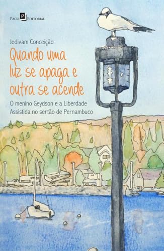 Quando uma luz se apaga e outra se acende: o menino Geydson e a liberdade assistida no sertão de Pernambuco