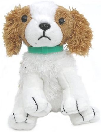 types of fish at petsmart