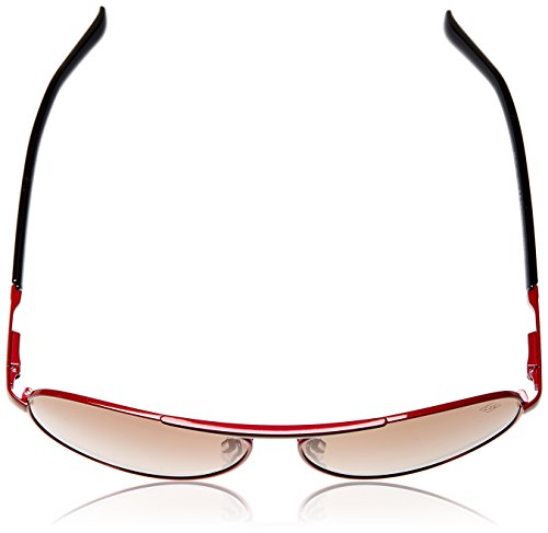 Image of Lee Cooper Cateye Sunglasses (Wine) (LC9053FOAWine|60)