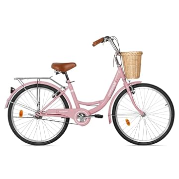 beach cruiser bike adult