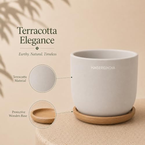 Image of Habere India-All the Cultures Fabricating India Plant Pot with Wooden Plate | Flower Pots for Dining Table & Home Decor | Terracotta Pot for Living Room Decoration (Multi, Dia11 x H9.5 cm)
