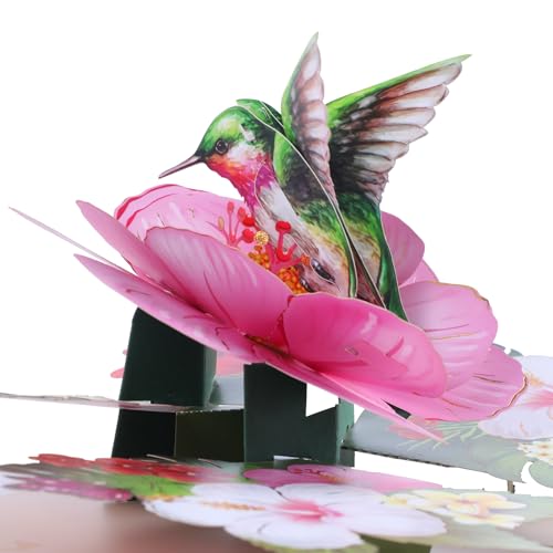 Carte pop-up 3D colibri originale, cadeau idéal pour anniversaire masculin