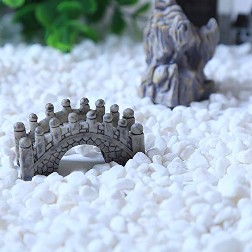 Image of WAYBER 2 Lb /920g White Stones Decorative Pebble Rock Sand for Aquarium /Fish Turtle Tank /Vase Filler /Succulent Plants Decoration (Fill 2 Cups)
